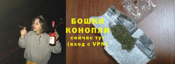 кокс Билибино
